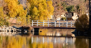 Lakeside Property Management